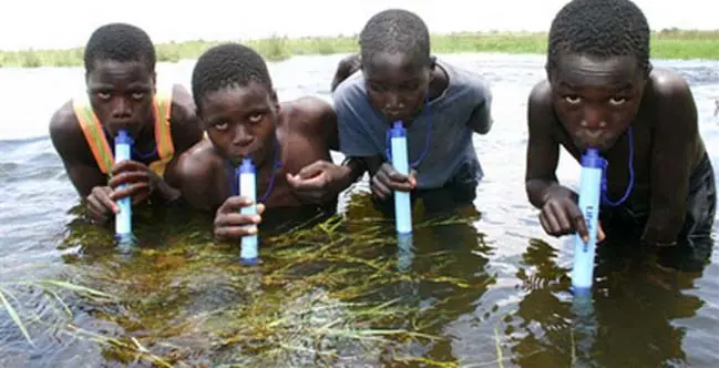 Estatecnología hará historia: conoce a la paja para la vida