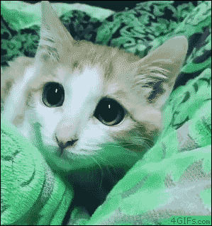 Gifs graciosos + mi agregado Vers. 76