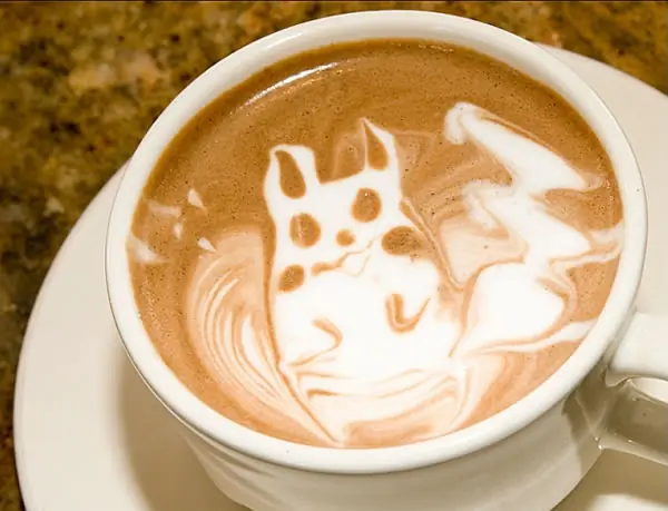 latte