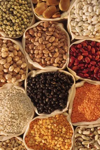nutricion