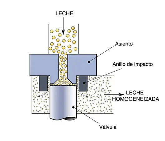 procesamiento leche