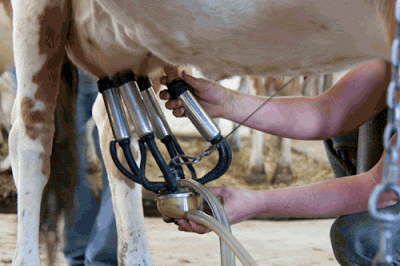 beneficios leche