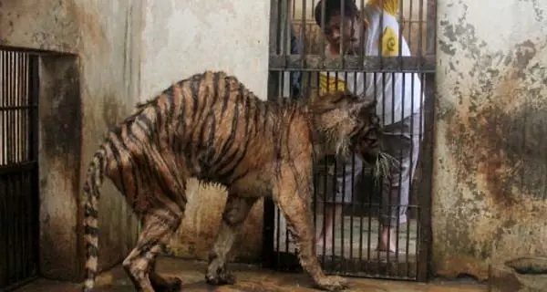 zoologico