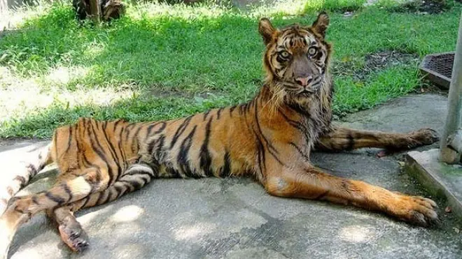 zoológico inhumano, que todo el mundo se entere