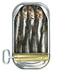 ¿Y la discriminacion hacia los hombres?