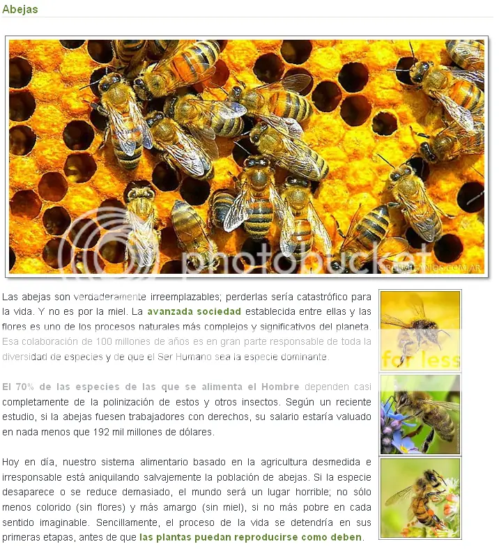 Planeta