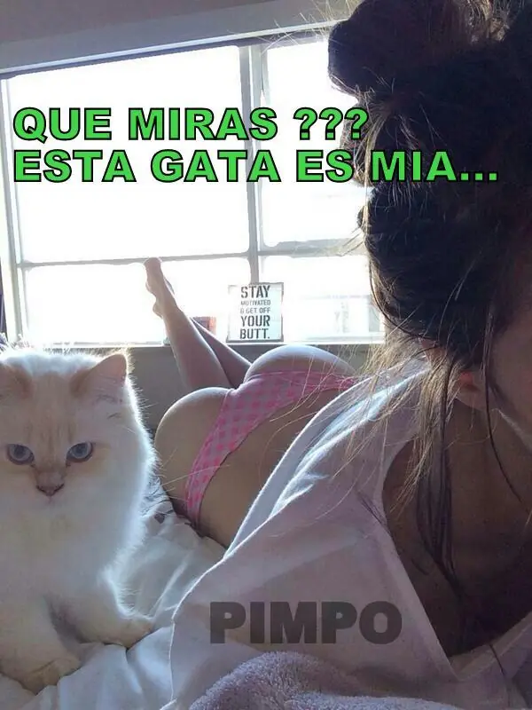 imagenes