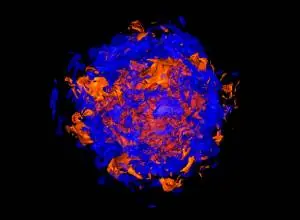 Simulaciones Tridimensionales de Supernovas