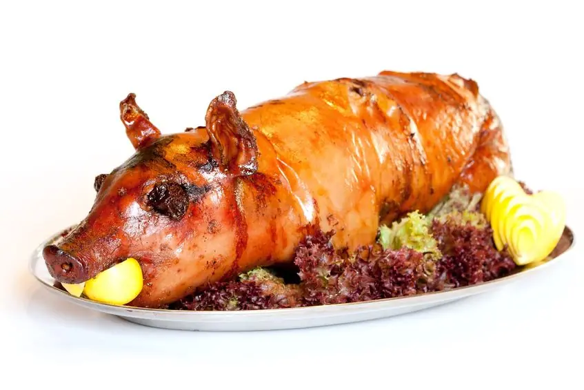 No soy vegano por estas razones