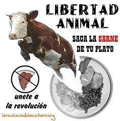 ¿Queres ser vegetariano? Yo te ayudo. [2]