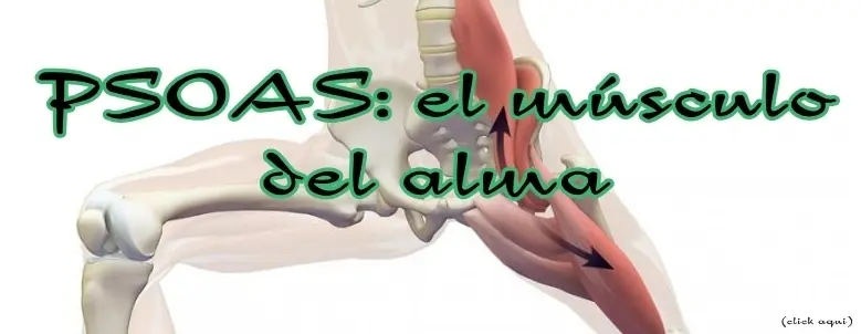 lo que hay que saber de la ciati