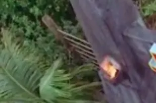 21 Cosas que no te diste cuenta en Jurassic Park