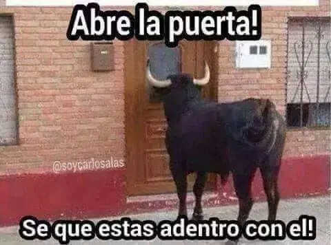 graficas