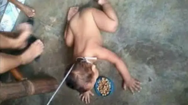 Indignante, madre que trata a su bebé como a un perro