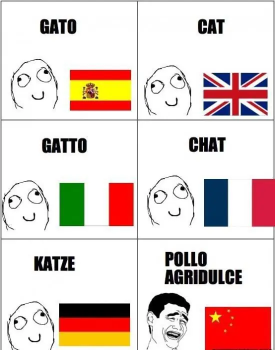 memes graciosos