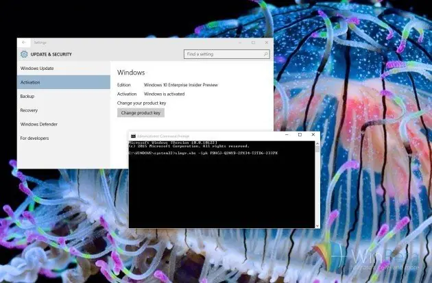 Como eliminar la marca de agua de Win 10 build 10122