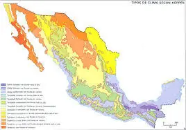 México según el mundo.