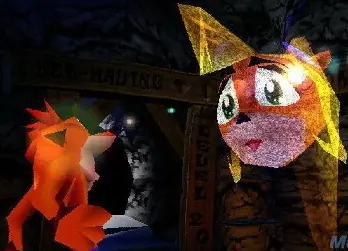 cortex