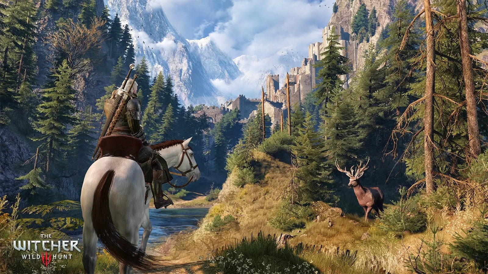 witcher 3