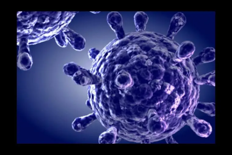 ¡Atención! 10 enfermedades que puedes adquirir con un BESO