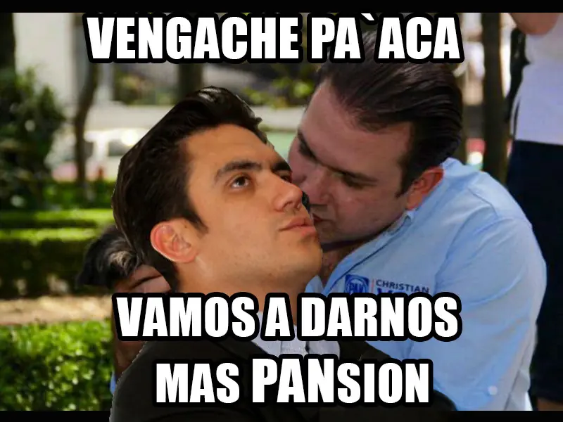 diputado