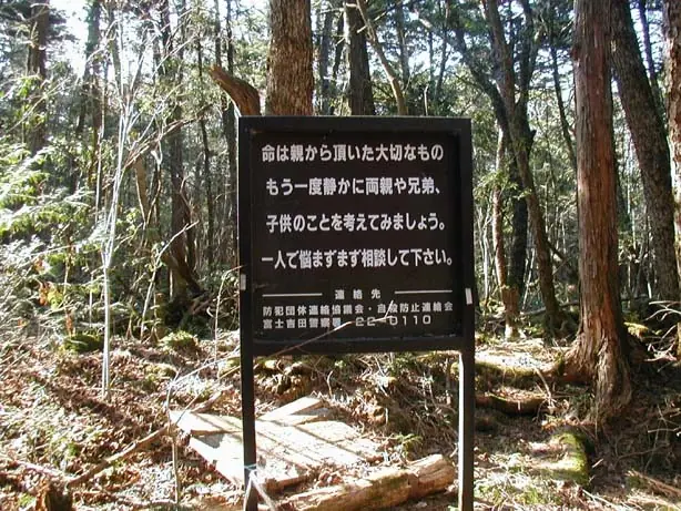 Misterios Sin Resolver: El Bosque de los Suicidio