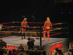 Ultra mega archi hiper post de Hulk Hogan