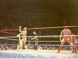 Ultra mega archi hiper post de Hulk Hogan