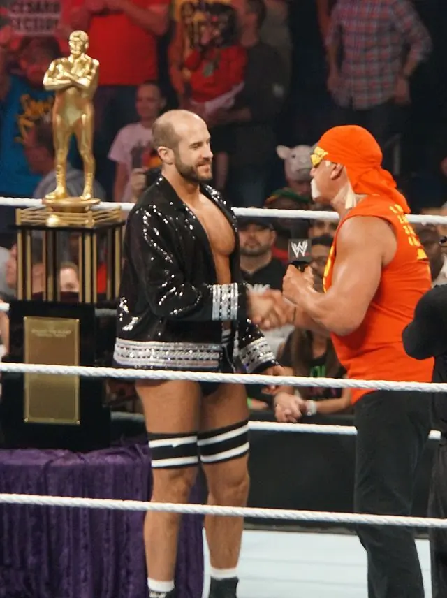 wwf wrestlemania