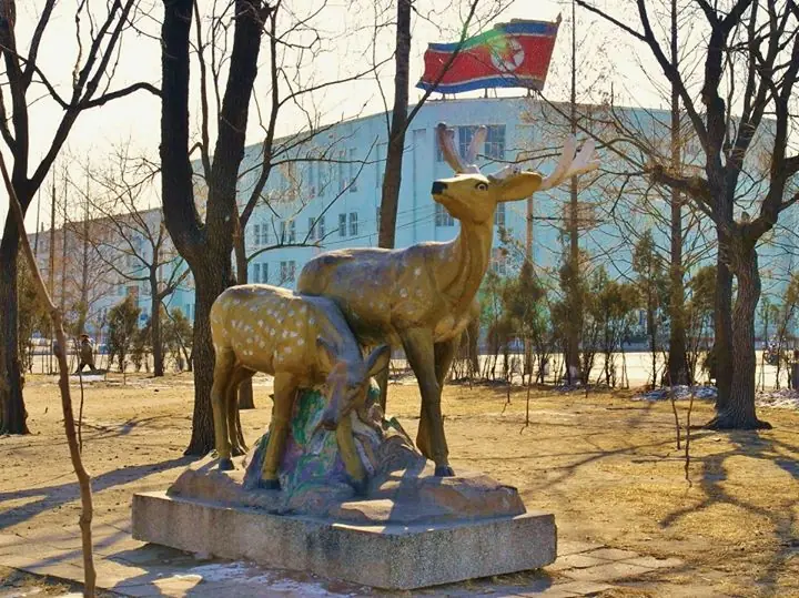 socialismo