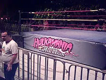 hulk hogan