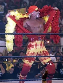 lucha libre