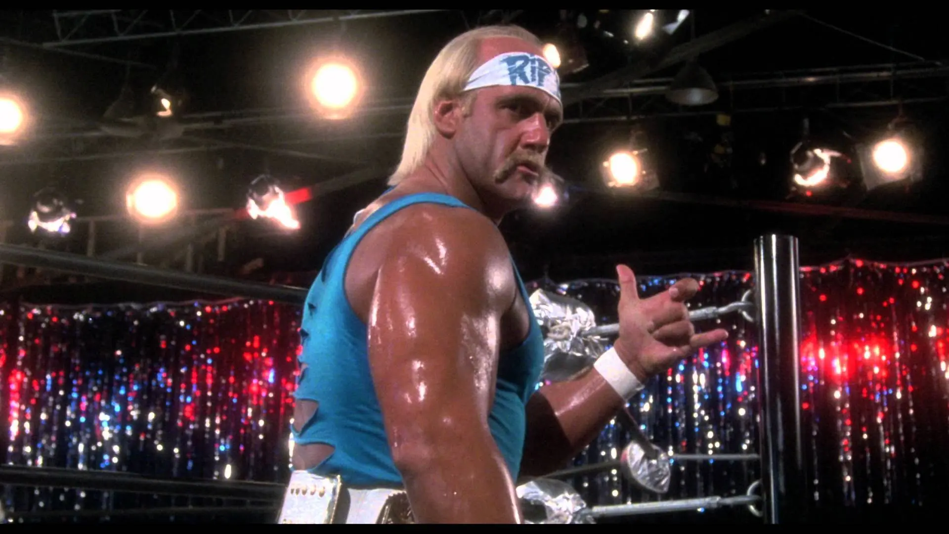 hulk hogan