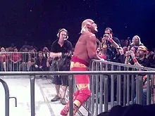 wwf wrestlemania