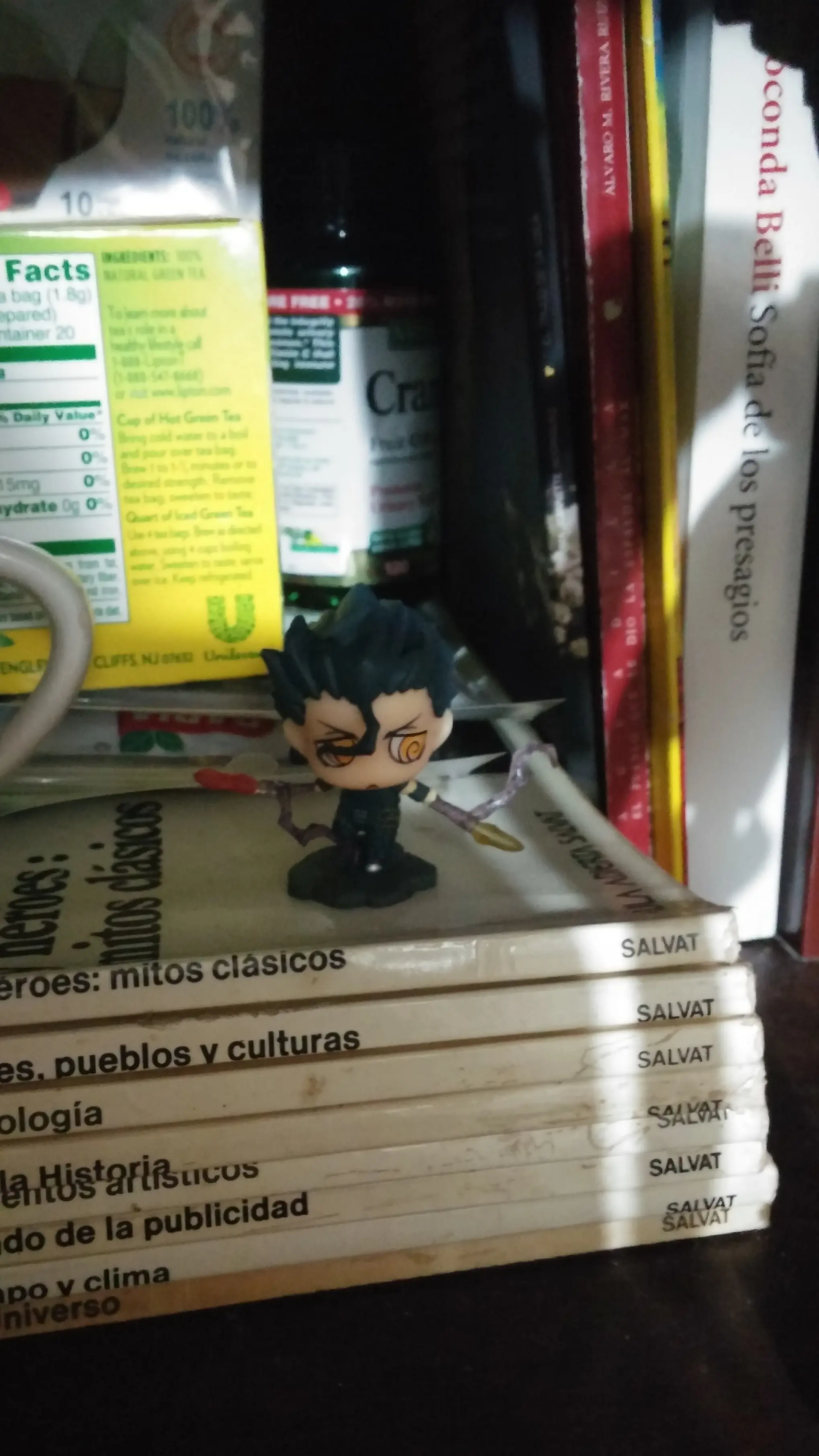 Soy virg...otaku y te lo muestro