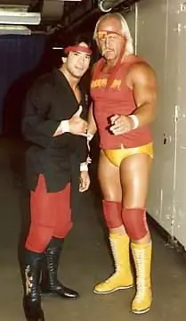 hulk hogan