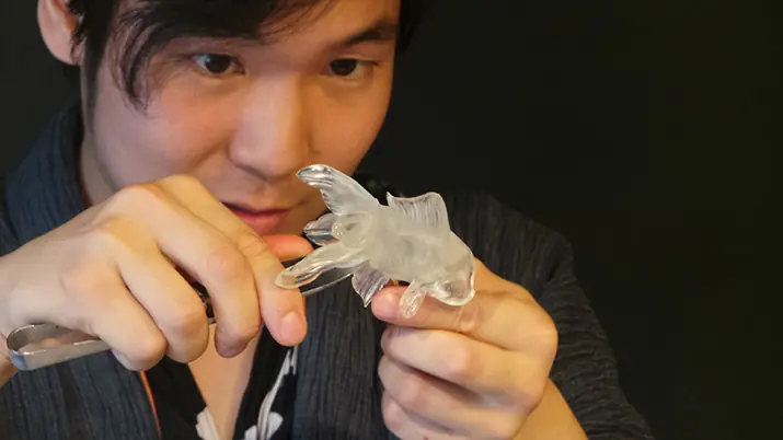 Animales increíbles gracias al arte del Amezaiku