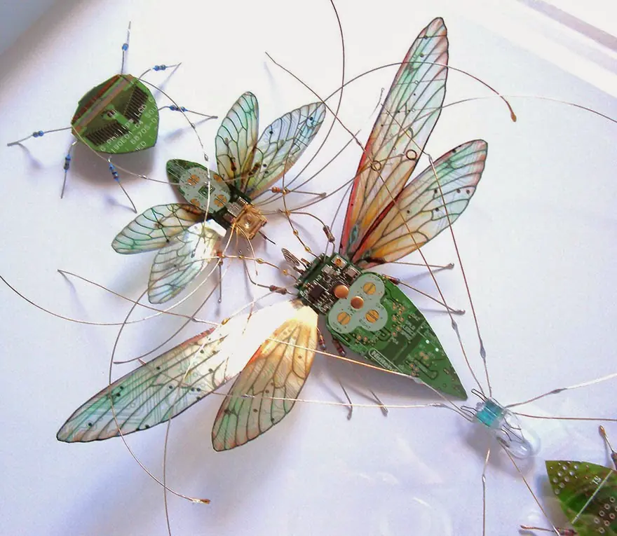 insectos