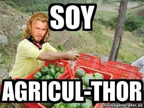 thor