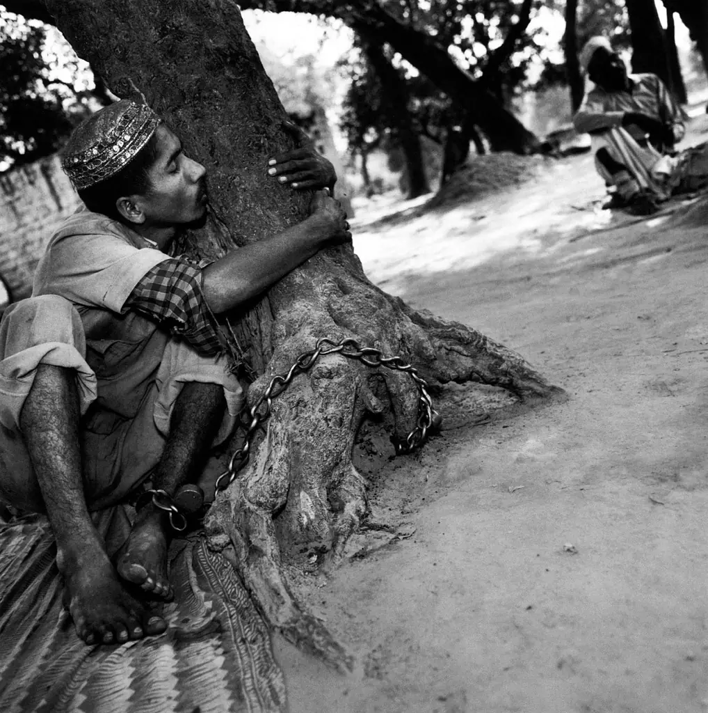 ¿Quién es Mary Ellen Mark?