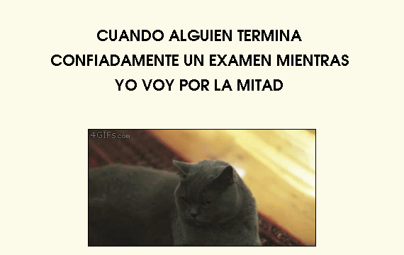 Los mejores gifs q vi en T!