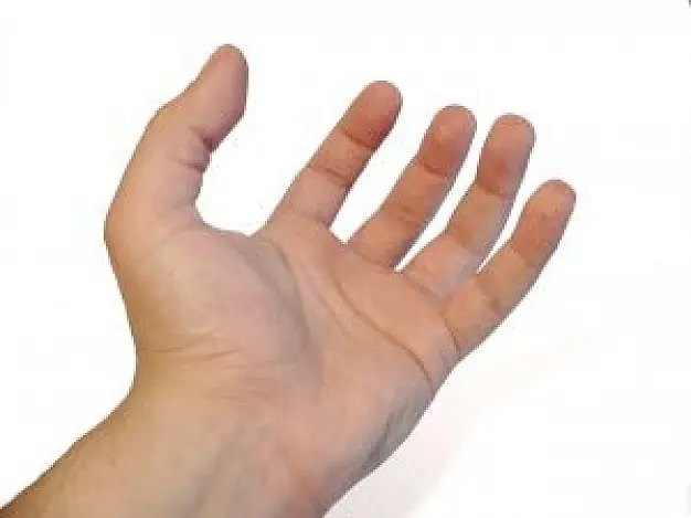 licuadora