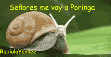 taringa