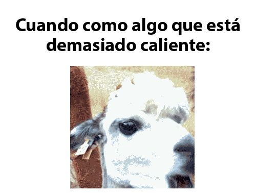 graciosos