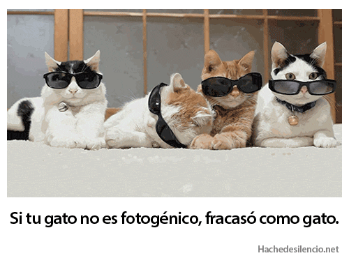 Gifs