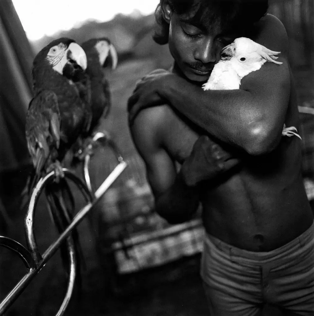 blanco y negro