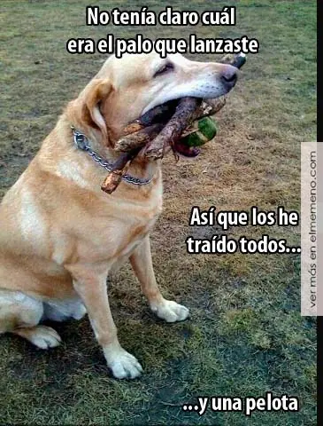 puntos