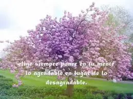 Leibniz (1646-1716)
