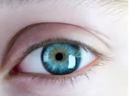 tipos de ojos