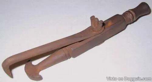 ¿Cansado de las mismas Curiosidades? (3)